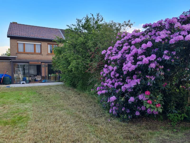 Huis achter flowers 800 px