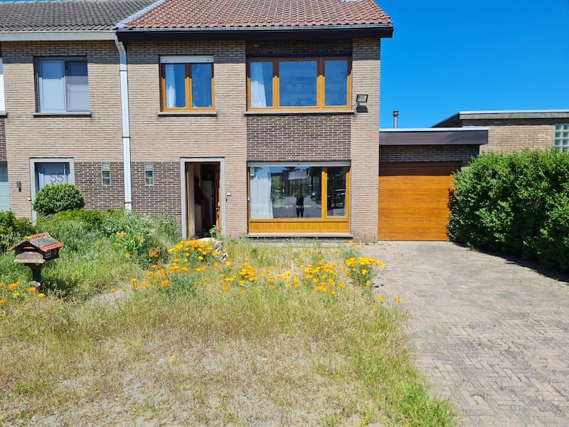Huis zomer 800 px