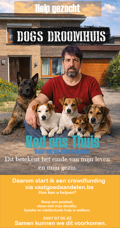 Man with dogs in front of house 2